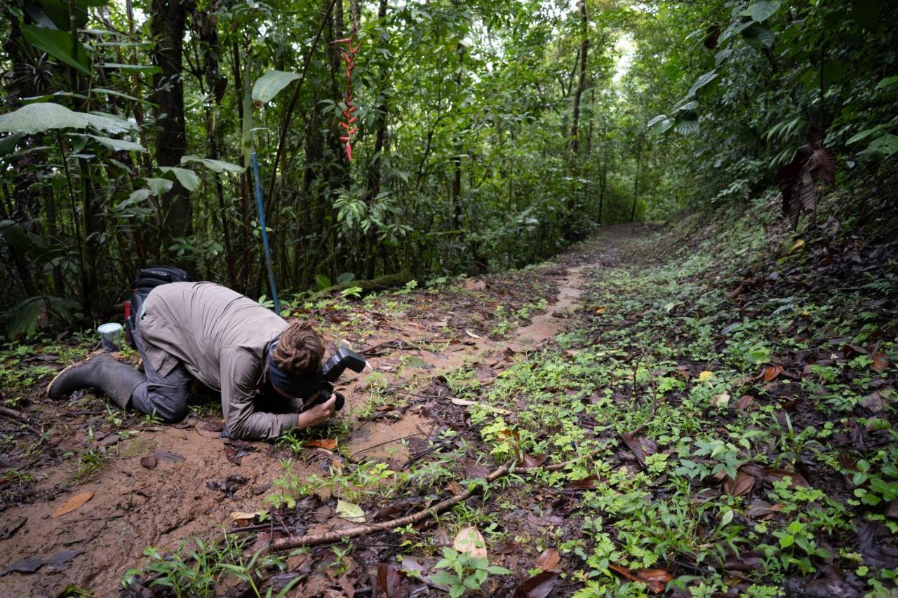 Bed and Breakfast Birds & Breakfast Costa Rica La Tigra  Екстер'єр фото