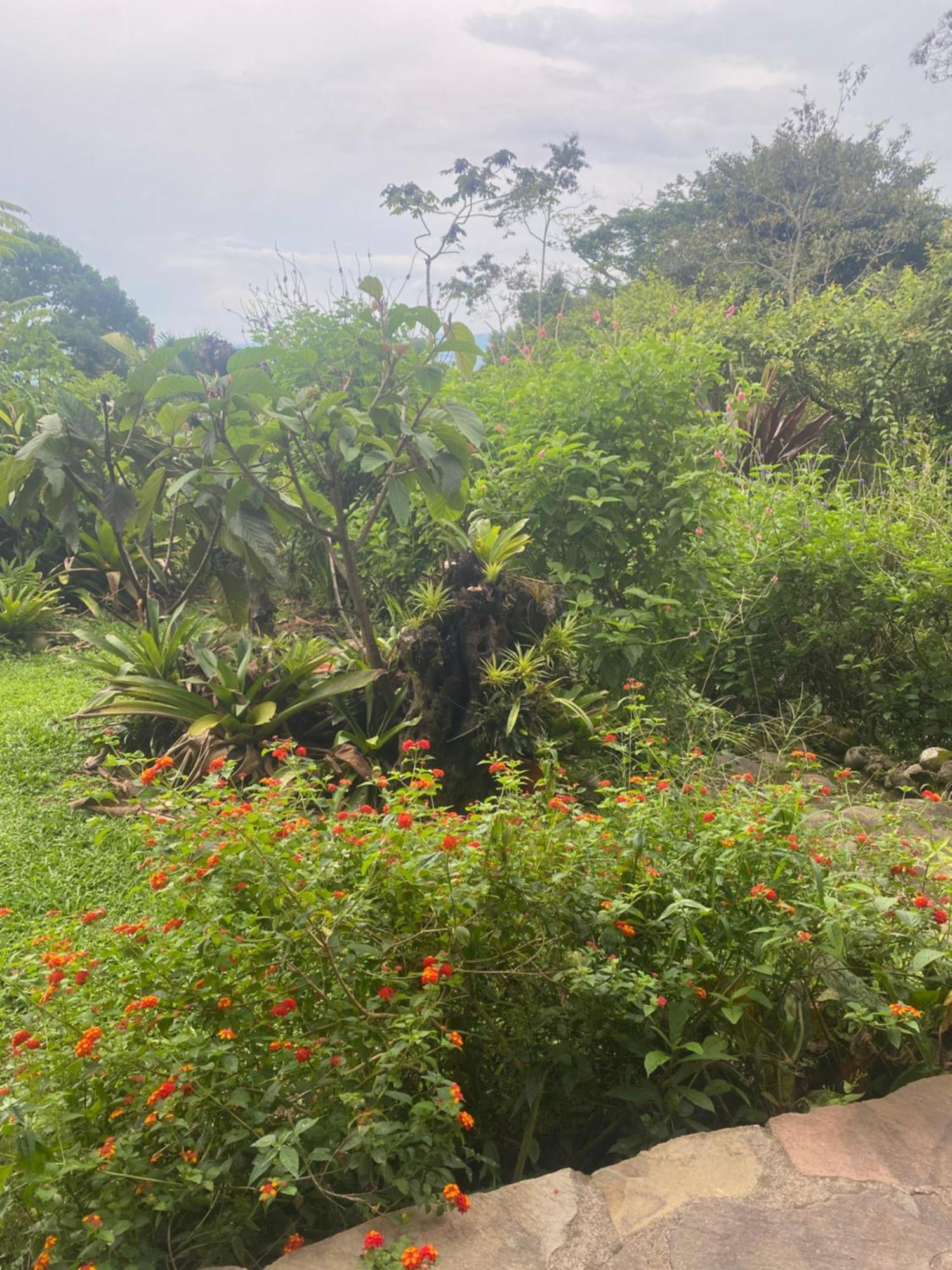 Bed and Breakfast Birds & Breakfast Costa Rica La Tigra  Екстер'єр фото