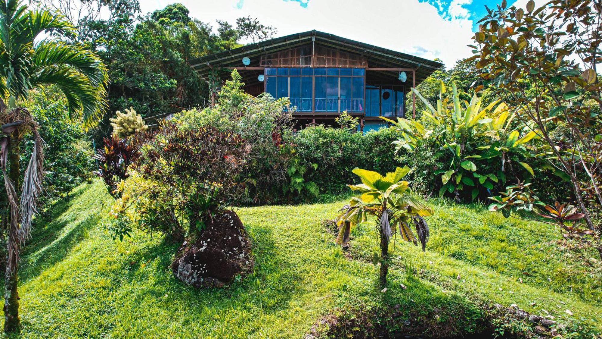Bed and Breakfast Birds & Breakfast Costa Rica La Tigra  Екстер'єр фото