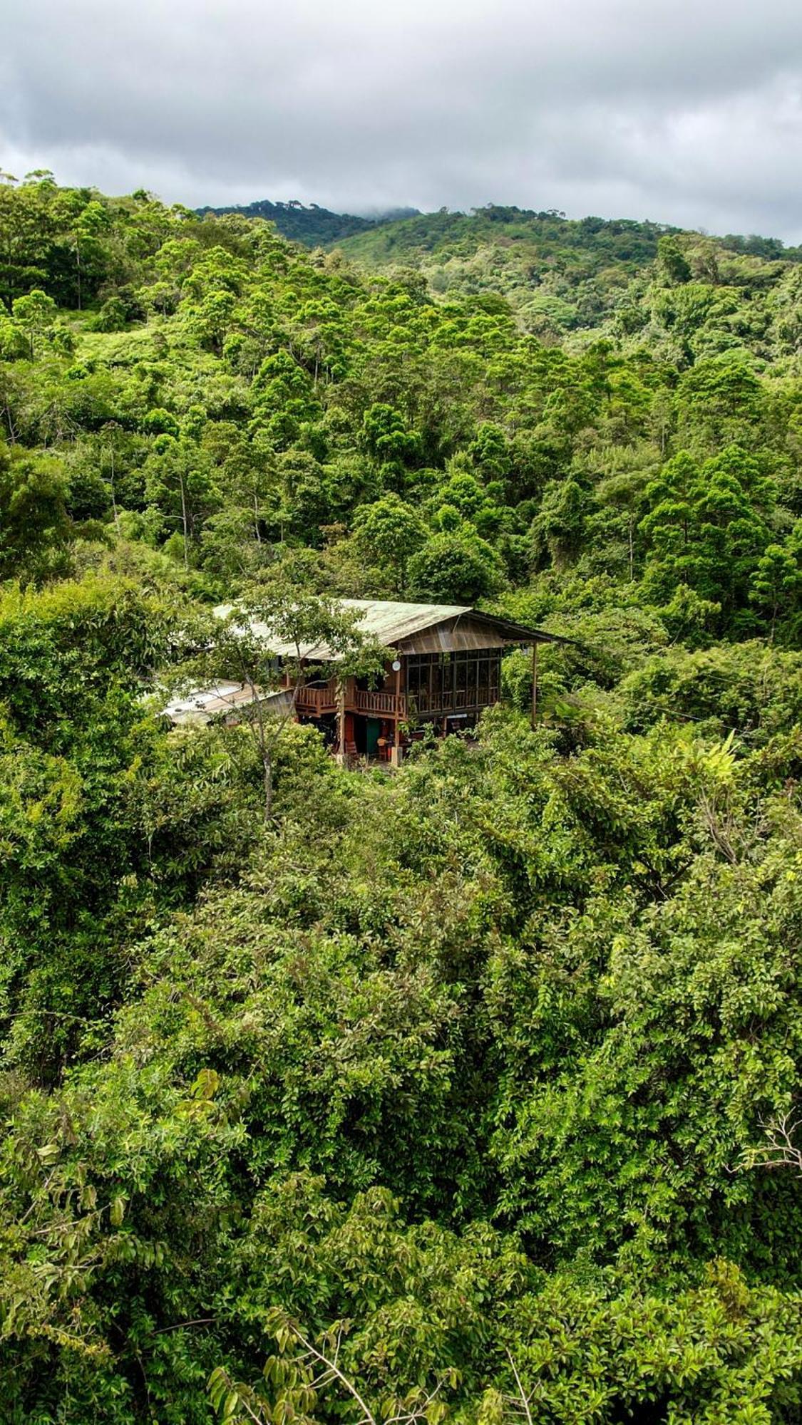 Bed and Breakfast Birds & Breakfast Costa Rica La Tigra  Екстер'єр фото